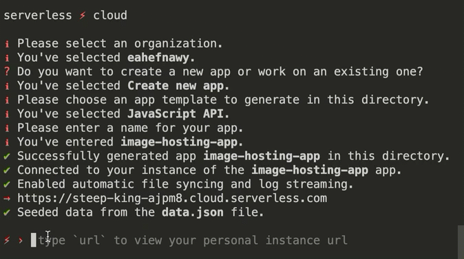 You can install npm packages directly from the Cloud Shell